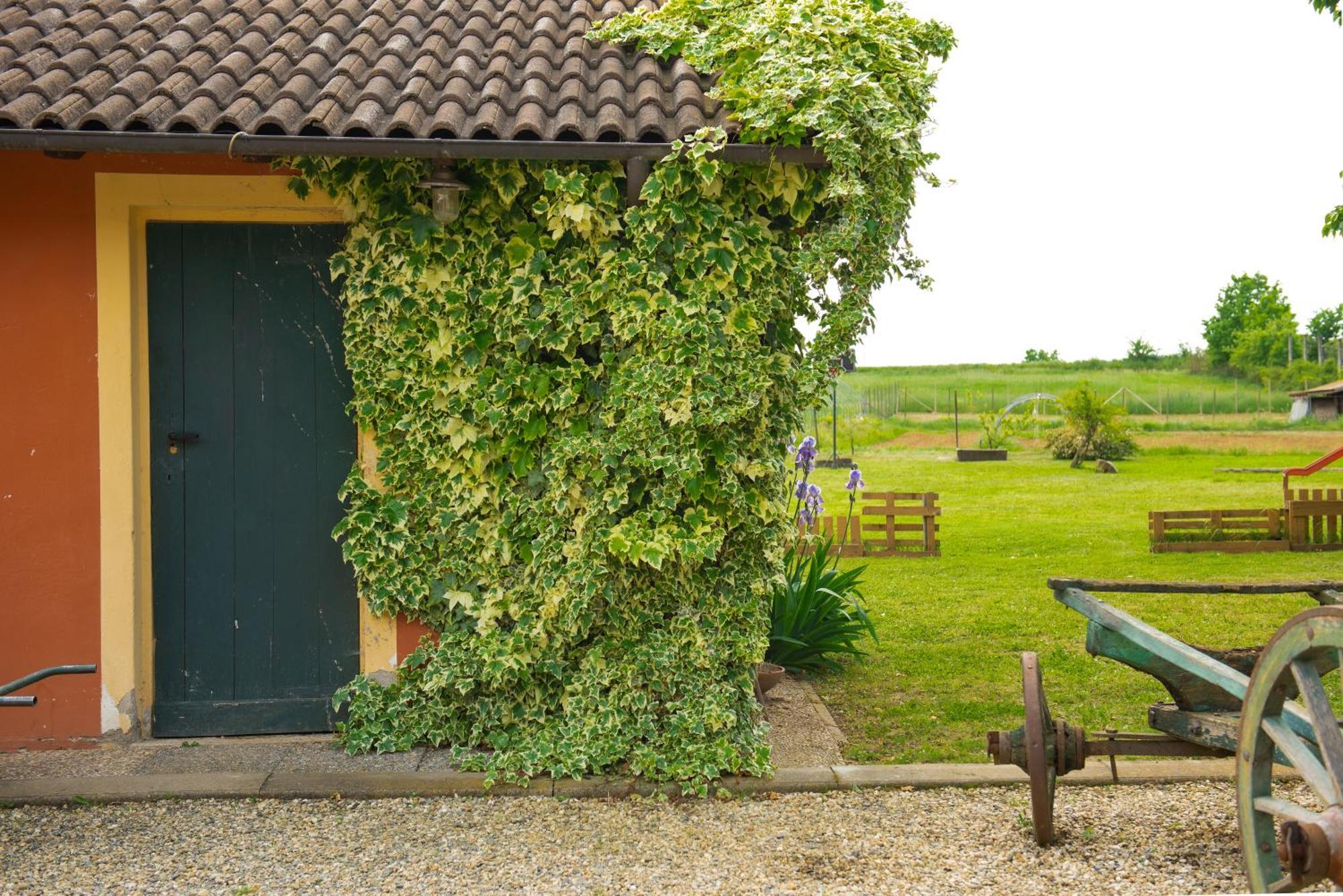 Country House Cascina Orto Pasturana Екстер'єр фото